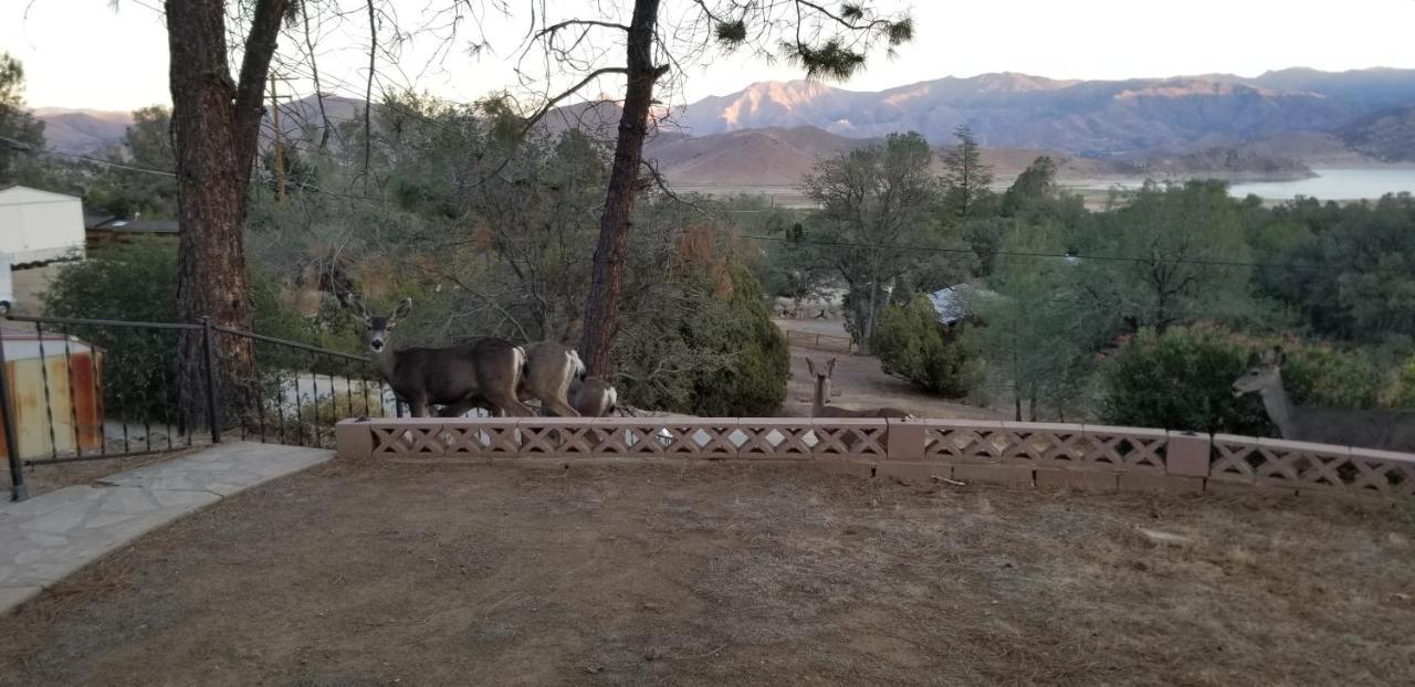 Wofford Heights 3Br Panoramic Lake View, Sequoia Forest, Kern County מראה חיצוני תמונה